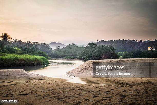 sandy beach and lake in jungle - nayarit stockfoto's en -beelden