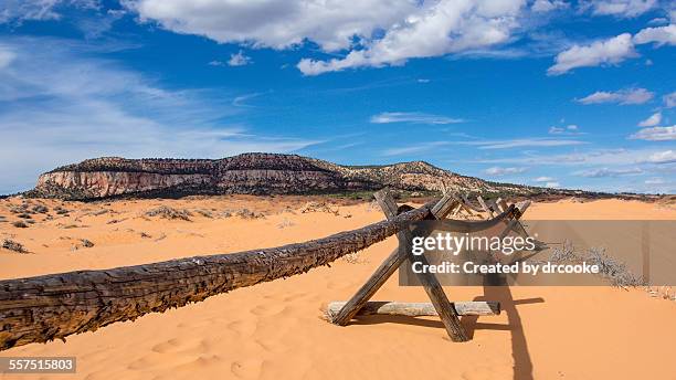 buggy barrier - coral pink sand dunes state park stock pictures, royalty-free photos & images