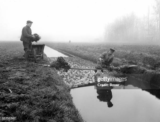 Transplanting of the watercress. France, on 1912. BOY-1853.