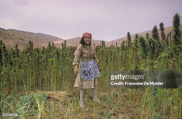 Woman stands in a field of cannabis during the hemp harvest in the Bekaa Valley, Lebanon, 1985. FDM-1506-8.