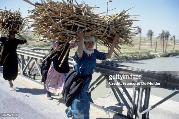 Farmers on the bridge Missan, carrying bundles of sticks of reeds. Bassora , in May, 1991. FDM-1030-7.