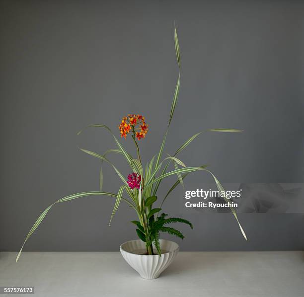 ikebana, flower arrangement - ikebana arrangement stock pictures, royalty-free photos & images