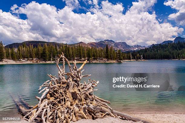 mammoth lakes, california - lago horseshoe imagens e fotografias de stock