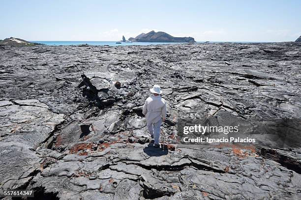 lava fields san bartolome island - lava plain stock pictures, royalty-free photos & images