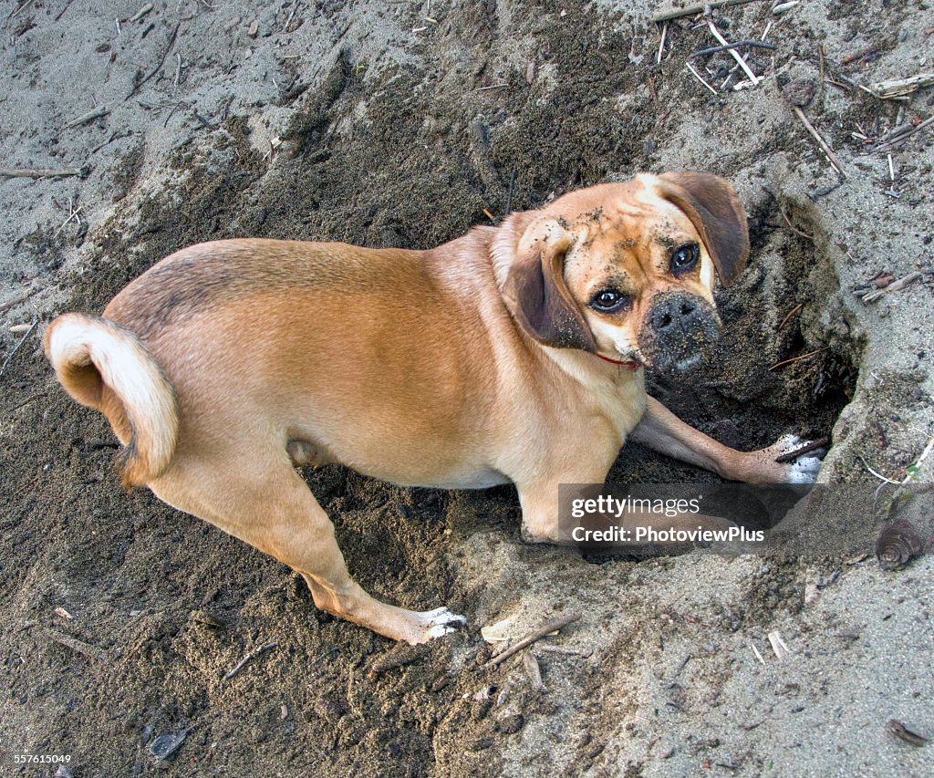 Aren't you going to help?