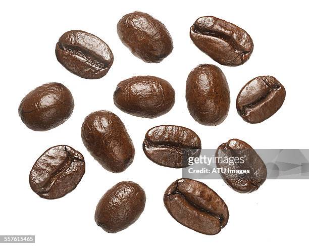 coffee beans on light box - geroosterde koffieboon stockfoto's en -beelden
