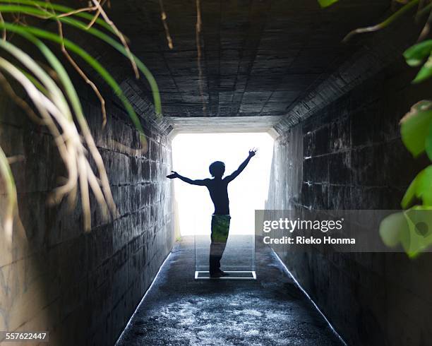 man in glass cube - aquarium tunnel stock pictures, royalty-free photos & images