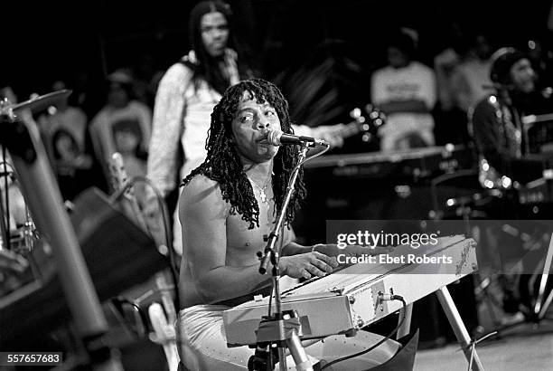 Rick James performing at the Jamaican World Music Festival in Montego Bay, Jamaica on November 27, 1982.