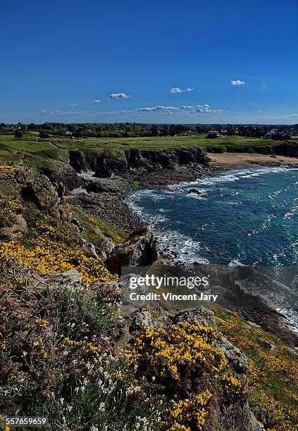 dinard seascape - ille et vilaine stock pictures, royalty-free photos & images