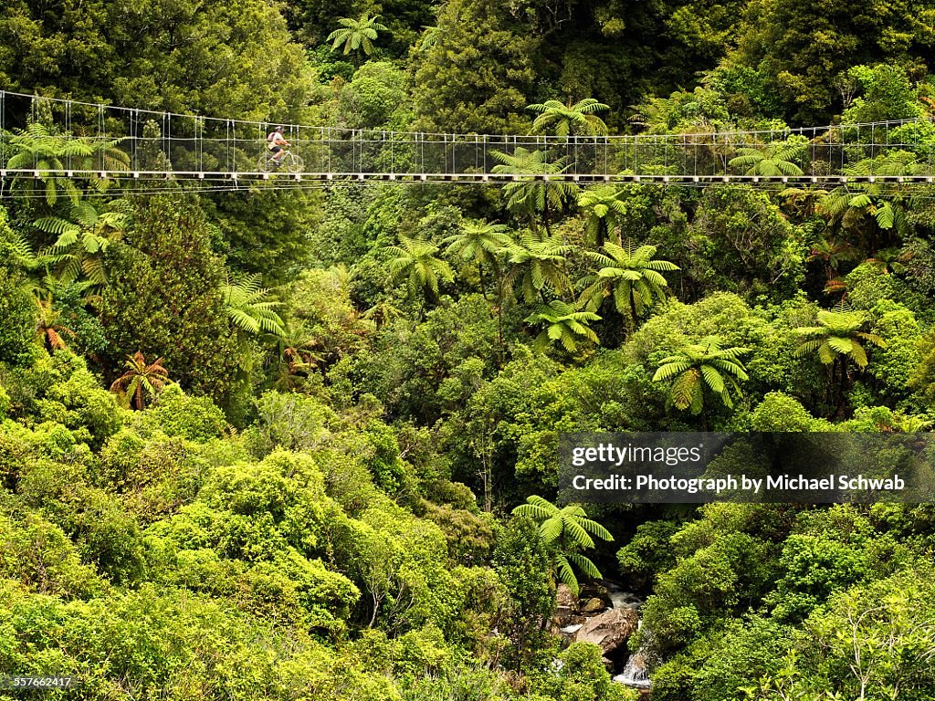 Cyclist riding over suspension bridge, New Zealand