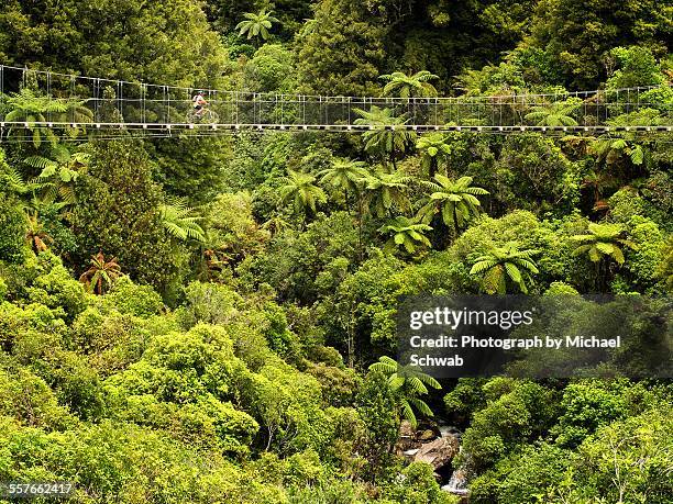 cyclist riding over suspension bridge, new zealand - ilha do norte da nova zelândia imagens e fotografias de stock
