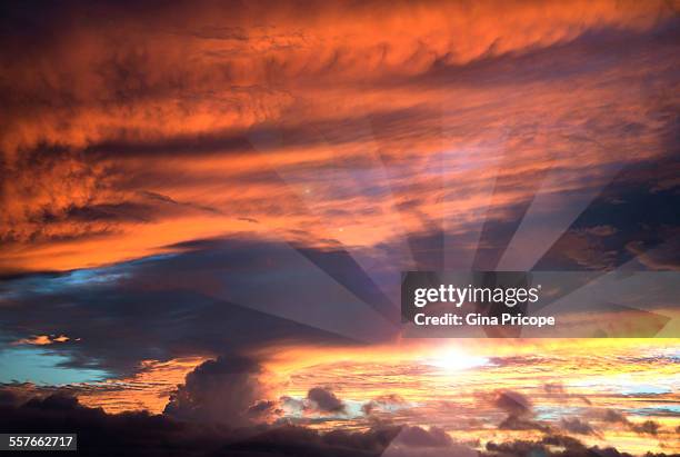 Orlando Rays Photos and Premium High Res Pictures - Getty Images