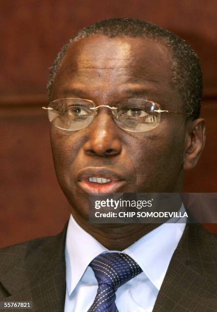 Washington, UNITED STATES: Senegalese Minister of Economy and Finance Abdoulaye Diop addresses a panel about issues faced by French-speaking African...