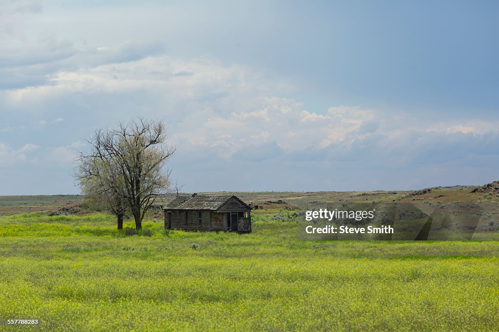 Abandoned cabin homestead horizontal