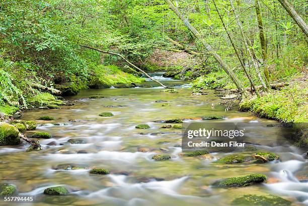 tranquil stream in the smokies - roaring fork motor nature trail stock pictures, royalty-free photos & images