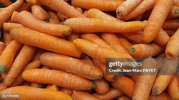 close-up of fresh carrots from organic farming - jean marc payet photos et images de collection