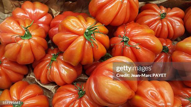 beefsteak tomato on a french market - jean marc payet photos et images de collection