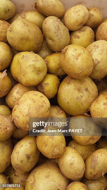 close up of fresh potatoes of noirmoutier - noirmoutier stockfoto's en -beelden