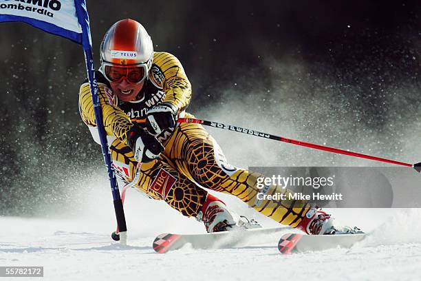 58 Jeff Hume Stock Photos, HighRes Pictures, and Images Getty Images