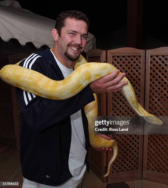 Thorn Python 137 Burmese Albino Python Snake Stock Photos, High-Res Pictures, and ...