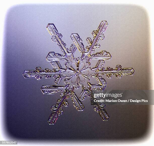 Snowflake Mircoscope Snowflakes Microscope Fotografías e imágenes de stock - Getty Images