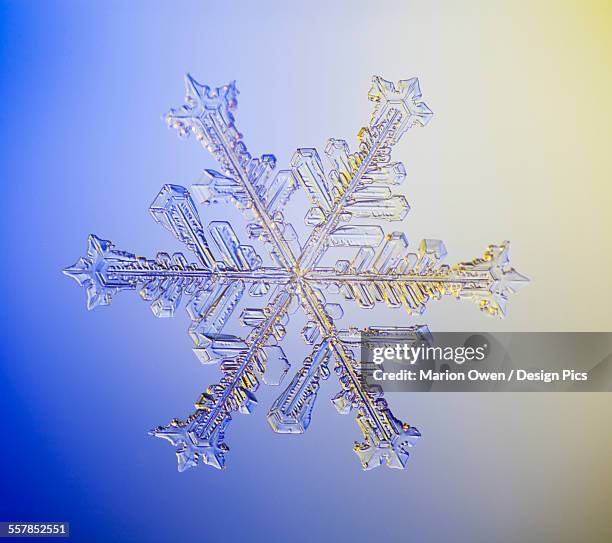 Snowflake Structure Microscope Snowflakes Microscope Photos et images de collection - Getty Images
