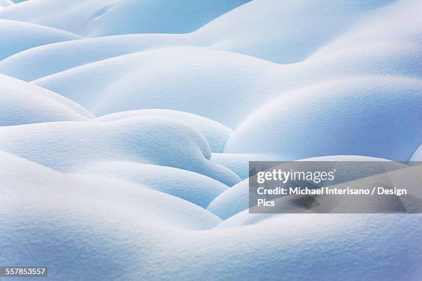 Snow Rounding 6,624 Piles Of Snow Stock Photos, High-Res Pictures, and Images - Getty ...