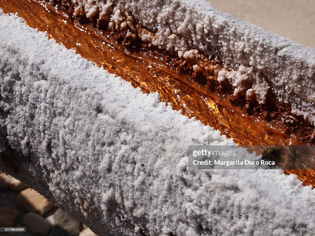 The Valley Salted (detail)
