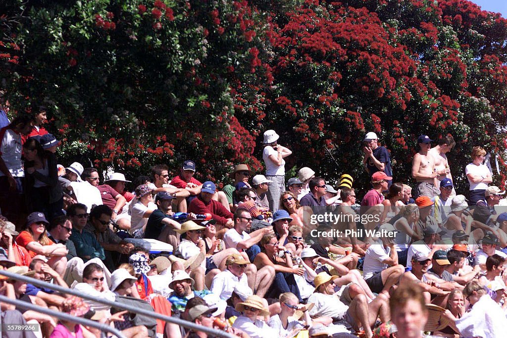 The Wellingtonian crowd enjoy the sun and the cric