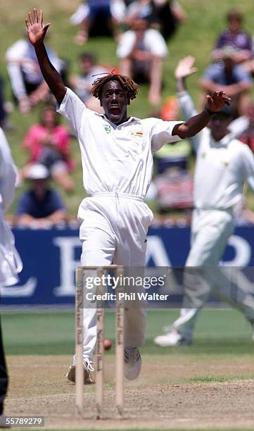 Zimbabwe's Henry Olonga appeals unsuccesfully for the LBW of New Zealand's Nathan Astle on the second day of the Black Caps Cricket test against...