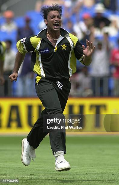 Pakistan's Shoaib Akhtar celebrates the wicket of New Zealand's James Franklin for a duck in the first ODI Cricket match played at Eden Park, Sunday....