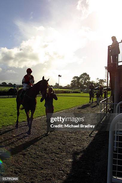 Te Rapa Race Course Photos and Premium High Res Pictures Getty Images