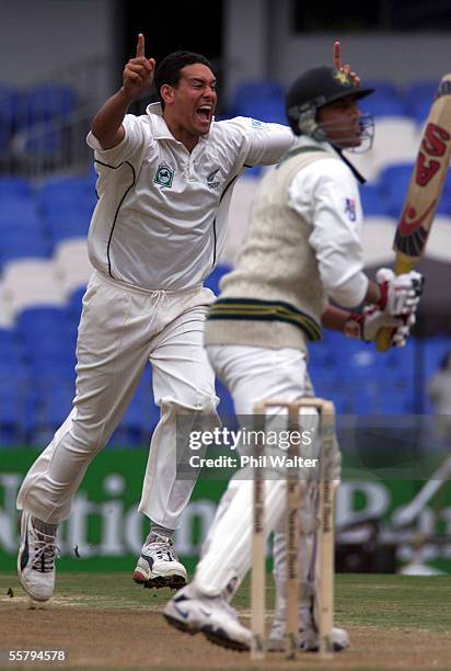 Black Caps Daryl Tuffey celebrates the wicket of Pakistan's Younis Khan on 91 runs caught by Craig McMillan on the 2nd day of their first...