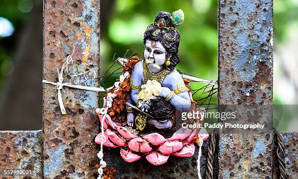 butter thief, lord krishna - krishna stock pictures, royalty-free photos & images