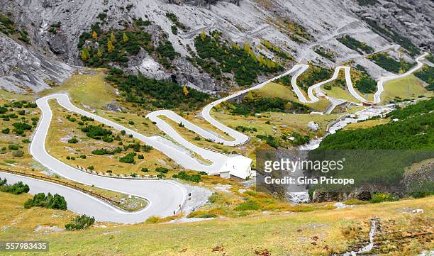 the state road to the pass stelvio - passo dello stelvio stock pictures, royalty-free photos & images