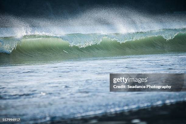windswept wave - san juan del sur bildbanksfoton och bilder