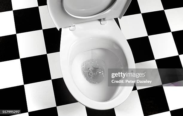 flushing toilet bowl landscape - clean floor stock pictures, royalty-free photos & images