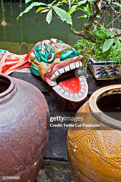 garden jar at hoi an quang nam province vietnam - serpens stock pictures, royalty-free photos & images