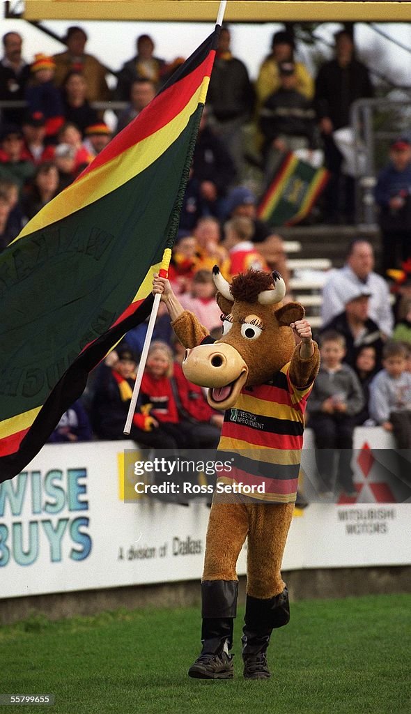 Mooloo Bell Ringing Waikato mascot Mooloo against Southland in the Ranfurly Shield... News ...