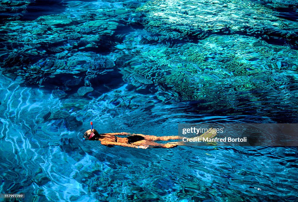 A girl snorkeling close a reef on Red Sea