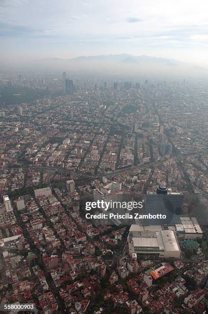 cidade do méxico - cidade do méxico 個照片及圖片檔