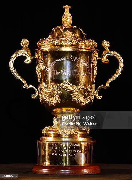 The Webb Ellis Rugby World Cup Trophy.