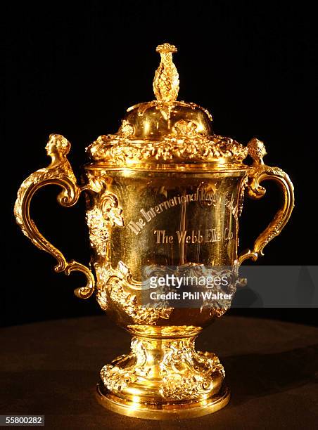 The Webb Ellis Rugby World Cup Trophy.