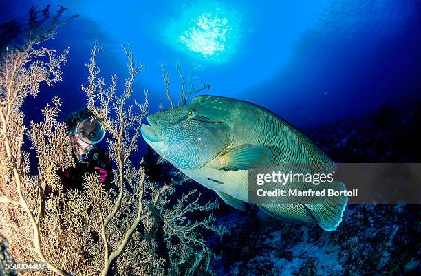 Troaught Trought Photos and Premium High Res Pictures - Getty Images