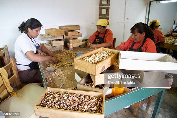 Women cracking walnuts at Huayrapuca Nueces, Tinogasta, Catamarca, Argentina