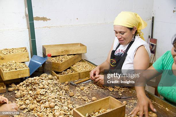 Women cracking walnuts at Huayrapuca Nueces, Tinogasta, Catamarca, Argentina