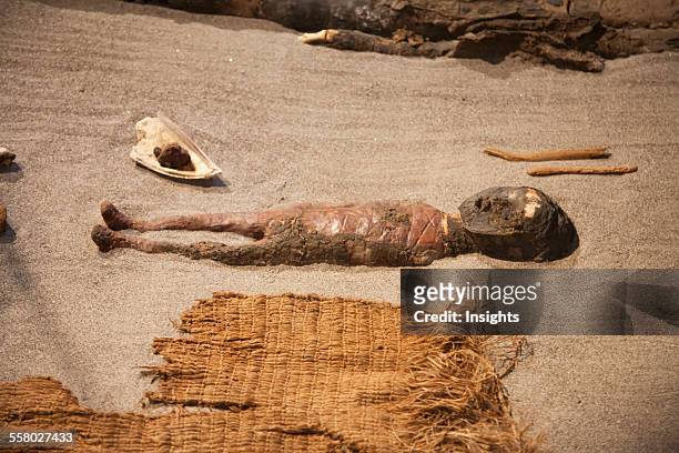 Chinchorro Mummy Of A Baby On Display At The San Miguel De Azapa Archaeological Museum, Arica And Parinacota Region, Chile