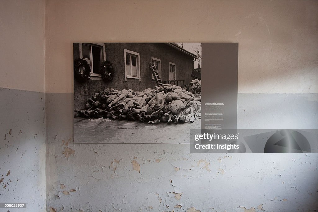 Photograph Of A Pile Of Corpses From 1945, Buchenwald Concentration Camp, Germany