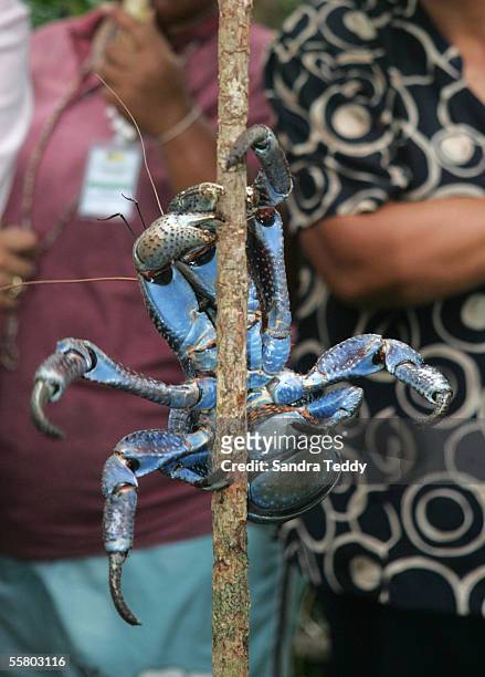 Minister, Mahara Okeroa holds a coconut crab as Georgina Te Heuheu , his wife, Kaye and New Zealand Prime minister, Helen Clark look on during their...