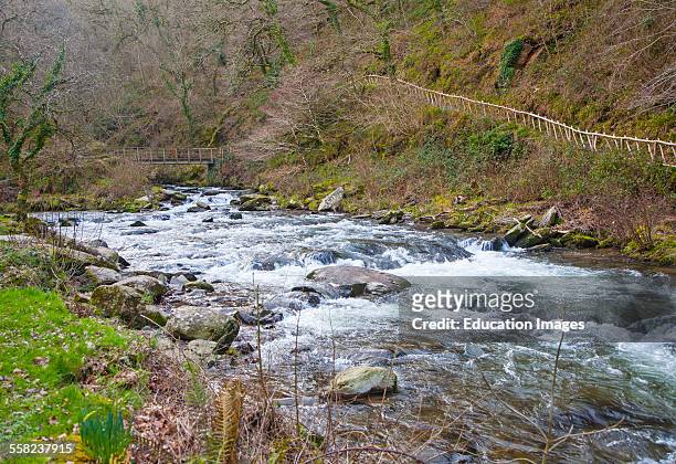 Confluence of East Lyn River and Hoar Oak water at Watersmeet, Exmoor national park, near Lynmouth, Devon, England